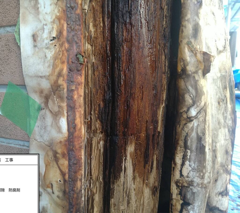 外壁シロアリ腐食防水塗装