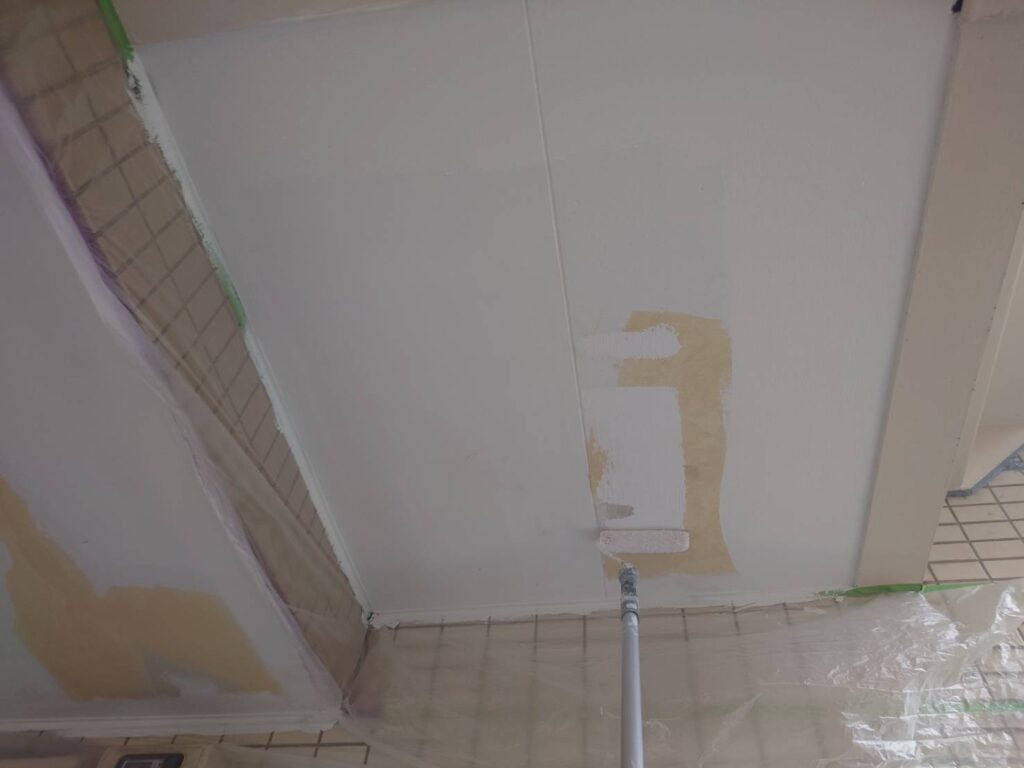 市川南大野マンションバルコニー軒天塗装